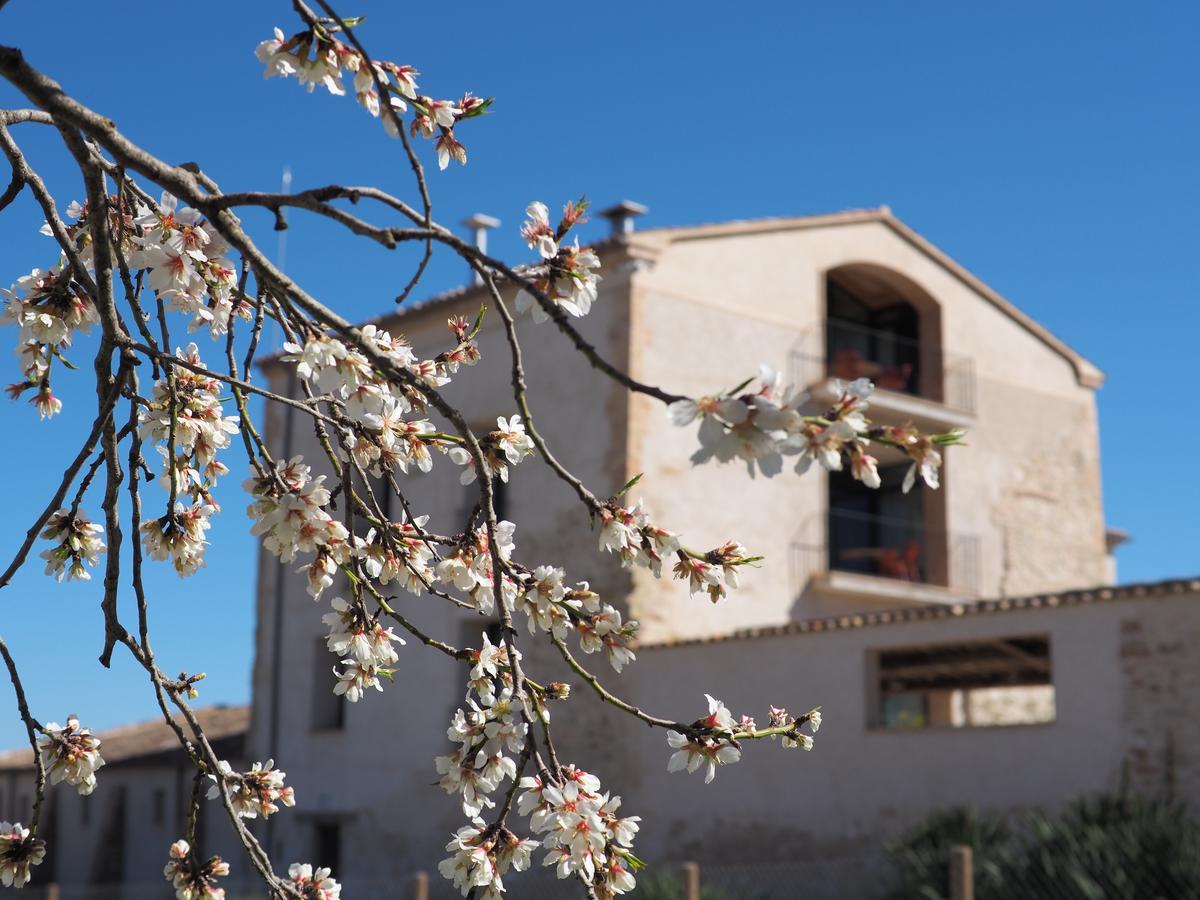 Can Alemany Santa Margarita de Montbui Exterior photo